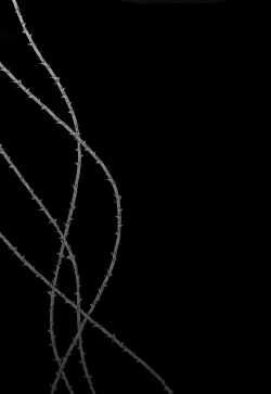 Page 9 of Dare ni mo Iwanai