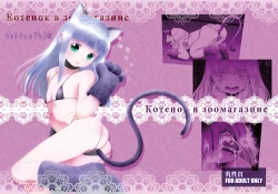 Page 43 of Pet Shop no Koneko