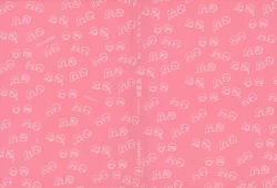 Page 2 of Chronology 2