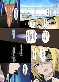 Page 28 of Chouritsu
