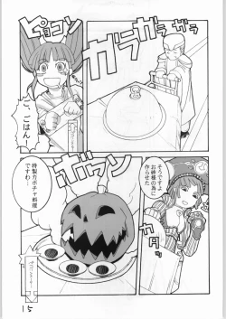 Page 14 of Cucurbita