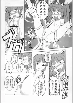 Page 19 of Cucurbita