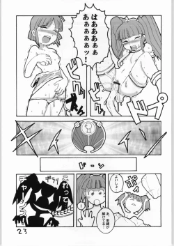 Page 22 of Cucurbita