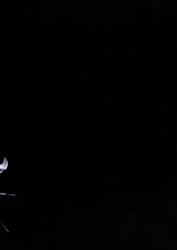 Page 22 of Hagane No XXXX