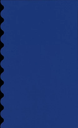 Page 3 of Chi no Tsunagaranai Otouto 2