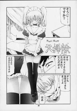 Page 47 of Vitamin-B5 1/4 Ruri Ruri Naisho no Maid Nikki