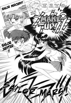 Page 13 of SUBMISSION MARS