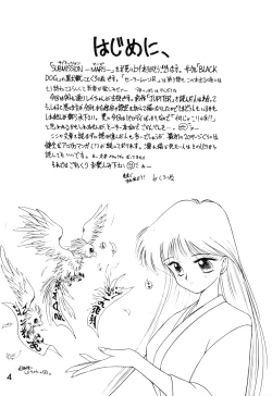 Page 3 of SUBMISSION MARS