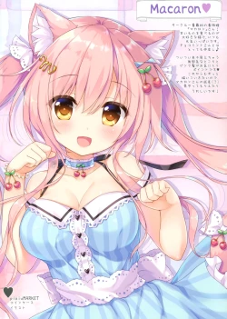 Page 12 of Kanbanmusume chronicle