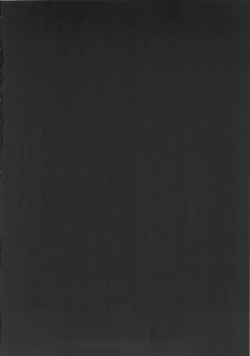 Page 3 of SHIRITSUBO