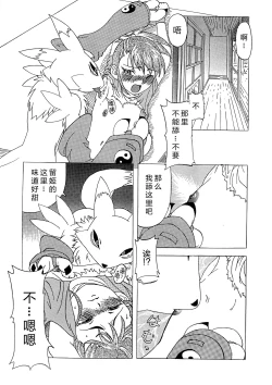 Page 11 of La renarde lunaire