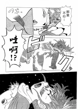 Page 13 of La renarde lunaire