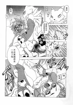 Page 18 of La renarde lunaire