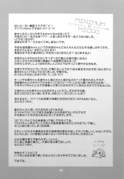 Page 11 of MINIMALISM × MICROISM