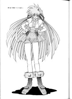 Page 24 of SuVariable Geo Only