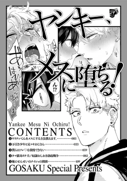 Page 2 of Yankee, Mesu ni Ochiru!