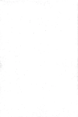 Page 27 of Vibe In Pants Hon