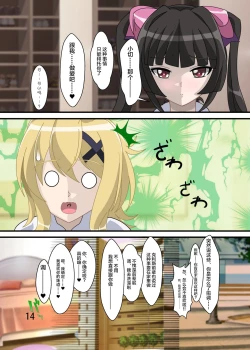 Page 13 of Chouritsu