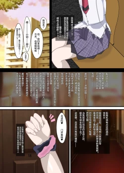 Page 17 of Chouritsu