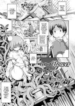 Page 1 of Hachi no Ue no Flower | Potted Flower