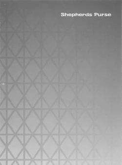 Page 17 of Another Girl II