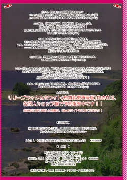 Page 13 of Moe Touhou Gensoukyou - Touhou Shuukokusei Phantasm