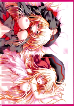 Page 14 of Moe Touhou Gensoukyou - Touhou Shuukokusei Phantasm