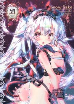 Page 16 of Snow flake