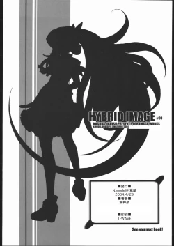 Page 29 of HYBRID IMAGE