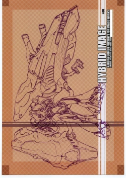 Page 30 of HYBRID IMAGE