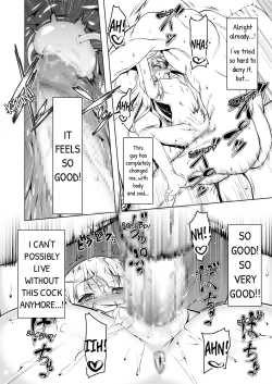 Page 27 of Koukotsu no Kishi Elfina IV