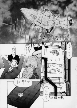 Page 34 of FINAL FANTASY X in BABEL