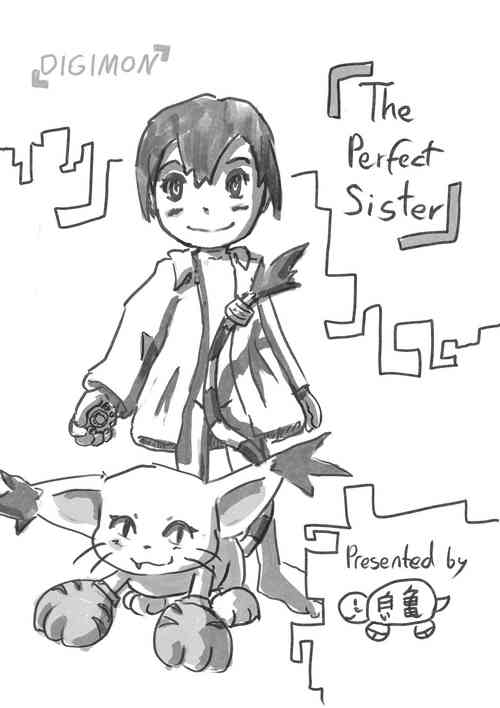 Download The perfect Sister