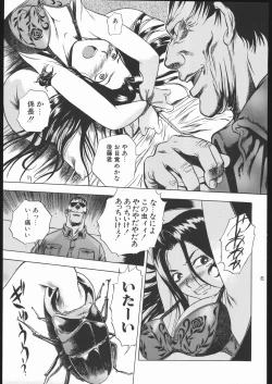 Page 28 of Genkai Haretsu