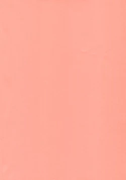 Page 3 of Kawaii Hito