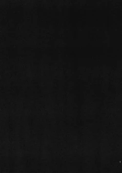 Page 2 of BLOOMING FLOWER