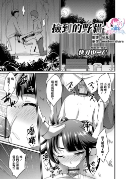 Page 1 of Noraneko o Hiroimashita | 捡到的野猫