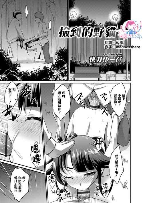 Download Noraneko o Hiroimashita | 捡到的野猫