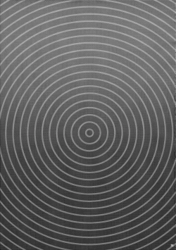 Page 21 of Zettai Saimin Nante Kakaranai Kuma!