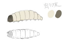 Page 3 of Oomushikaisetuzukan