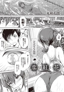 Page 3 of Yappari Mizugi Bishoujo ga Suki Vol. 1