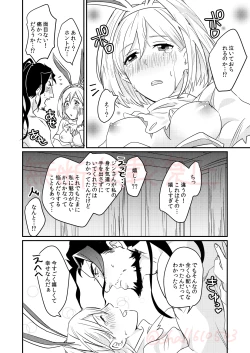 Page 19 of JinDjeeta Ryuu Veil no Jouzuna Tsukaikata