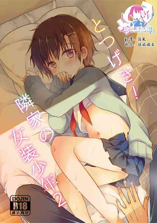 Download Totsugeki! Rinka no Josou Shounen 2