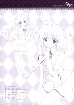 Page 19 of TORAGOKORO