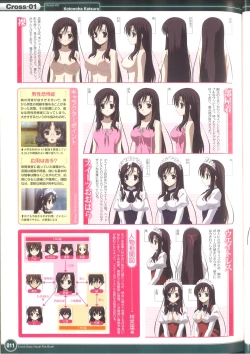 Page 17 of Cross Days Visual Fan Book