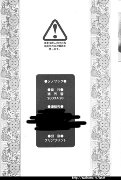 Page 21 of SHINOBOOK 1