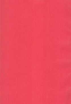 Page 3 of NICO MAKI TRYST***