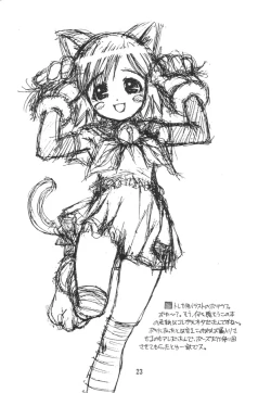 Page 22 of SHINOBOOK 3