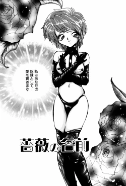 Page 41 of Kutsuu no daishou