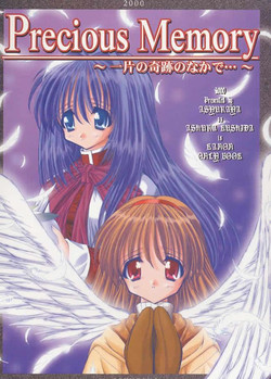 Download Precious Memory ～ Ippen no Kiseki no Naka de... ～